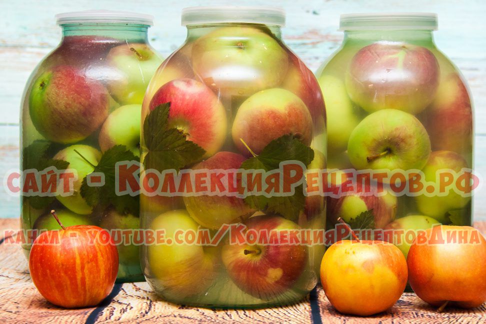 моченые яблоки рецепт в домашних условиях